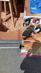 Les Ateliers de l'Enfer à Douarnenez pendant la Semaine du Golfe