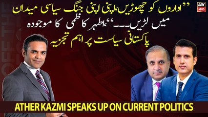 Ather Kazmi says institutions shouldn't be attacked by political class