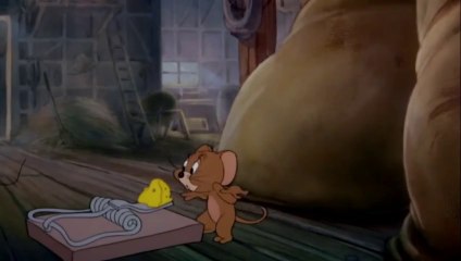 Tom and Jerry  Temanku dengan Bulu yang HalusFine Feathered Friend bahasa indonesia