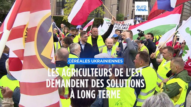L’appel des agriculteurs d’Europe de l’Est confrontés aux exportations de céréales ukrainiennes