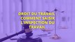 Droit du Travail : comment saisir l’Inspection du Travail ?