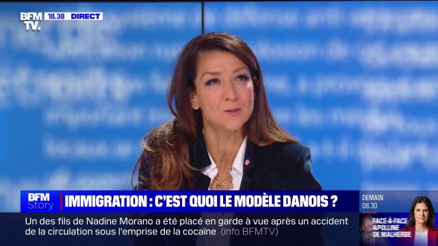 Immigration: Quand on est en situation irrégulière et qu'on commet un délit, on doit partir pour Sabrina Agresti-Roubache (Renaissance)