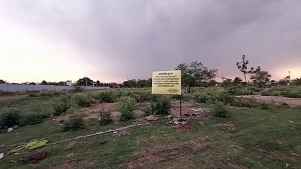 Industry Department mp