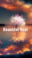 #Beautiful_Naat#Youtube#Shorts#Shorts_with_lyrics#(480p)