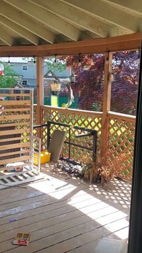 Squirrel Raids the Birdfeeder. The Birds Aren't Having It.