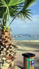 Davutlar Village, Kuşadası, Aydın