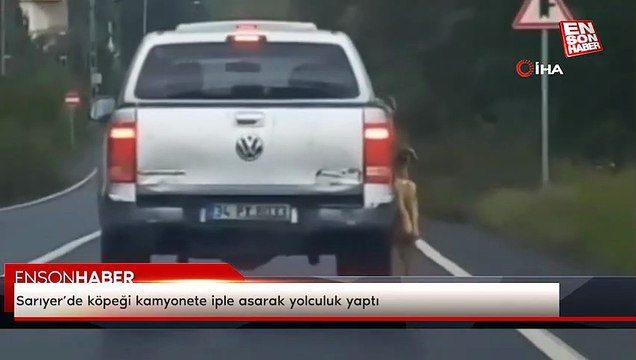 Sarıyer’de köpeği kamyonete iple asarak yolculuk yaptı