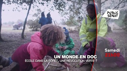 Ecole dans la forêt, une révolution verte ? - 20 mai