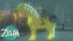Cheval doré Zelda Tears of the Kingdom : Comment obtenir ce cheval rare grâce à la quête de Penn ?