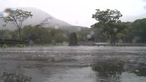 [날씨] 오늘 전국 곳곳 비, 더위 주춤...제주 산간 100mm↑ / YTN