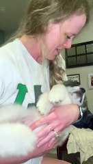 Foster Puppy Does Not Want to Wake Up