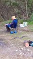 Campers' Close Encounter With a Venomous Snake