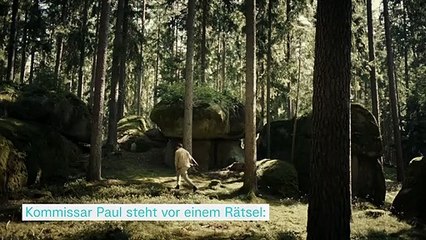 LandKrimi - Der Schutzengel