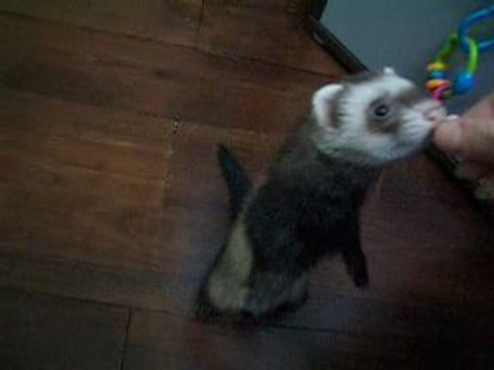 Entrainement petit tour 3