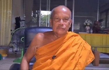 พระฆ่าแมวโหด! 'พระพยอม' เตือนบาป ย้ำวัดสวนแก้วเลี้ยงดีหลายร้อยตัว