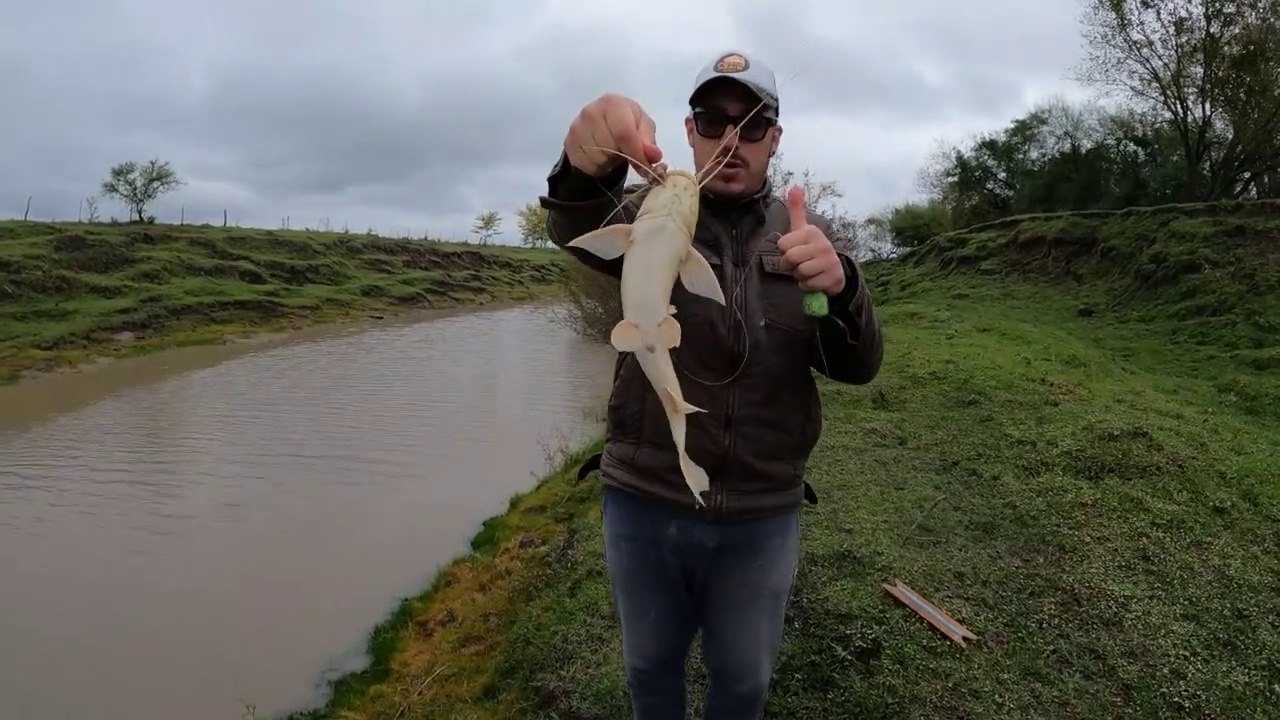 PESCA Y AVENTURA en el Rio Gualeguaychu, Pescando BAGRES MONCHOLOS, Cocinando Tortas Fritas con amigos
