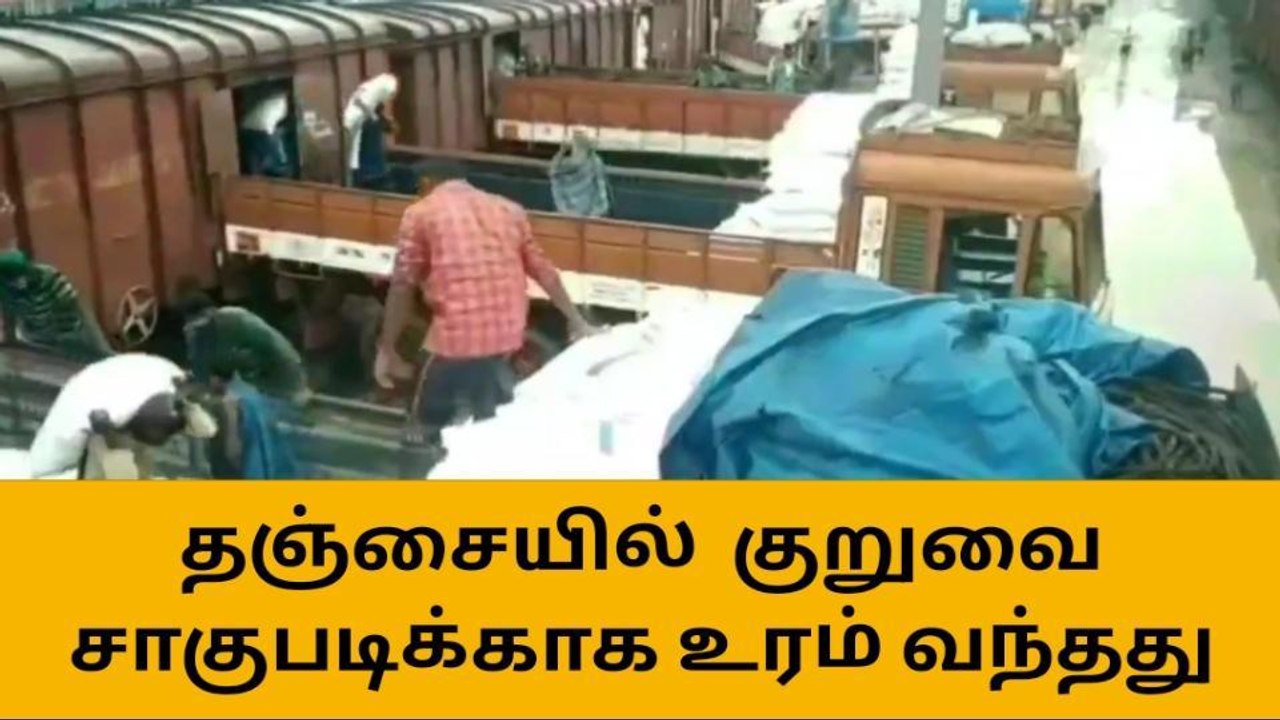 தஞ்சாவூர்: குருவை சாகுபடிக்காக வந்தடைந்த 1300 ட...