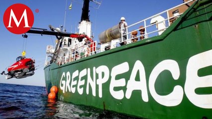 Así avanza la investigación del barco de Greenpeace en el puerto de Veracruz