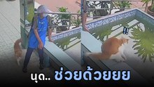 ไวรัลฮาปนสงสาร เจ้าเหมียวอ้อนนุดแต่พื้นมันลื่น เลยเกิดเป็นหายนะ !