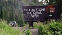 5 Very Expensive Things In Yellow Stone National Park