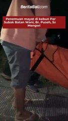 Penemuan m4y4t di kebun Pandan Subak Batan Wani, Br. Puseh, Sading, Mengwi, Rabu (17/5) malam kemarin.