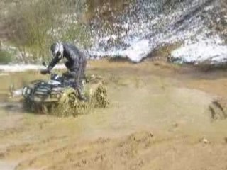 quad tgb 425 4x4