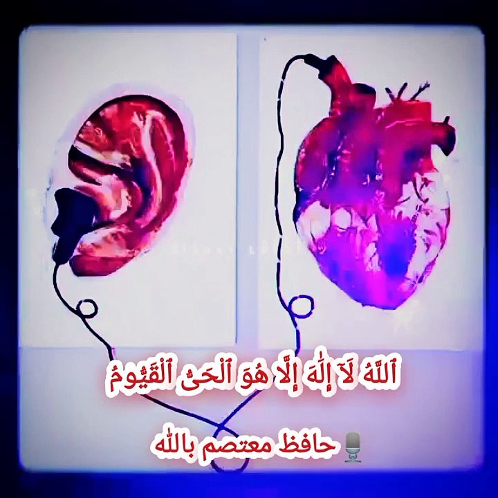 Surah Baqarah Ayat - 255 -- Ayat ul kursi -- Quran Recitation With Moutasim Billah -- Quran Shorts