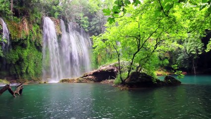 Gentle Melodies for Anxiety Alleviation