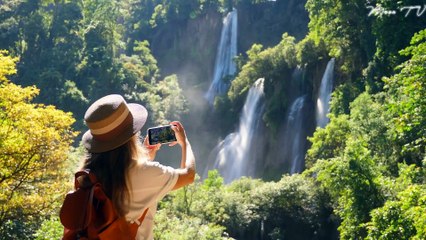 Serenity Strings - Instrumental Music for Mindfulness