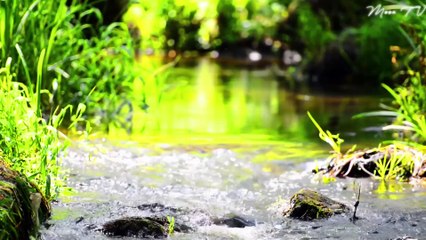 Yoga Serenade - Relaxation Music for Mindful Practice