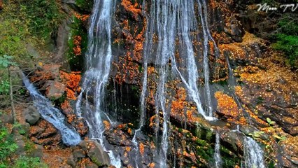 Tranquil Tunes - Instrumental Music for Peaceful Moments