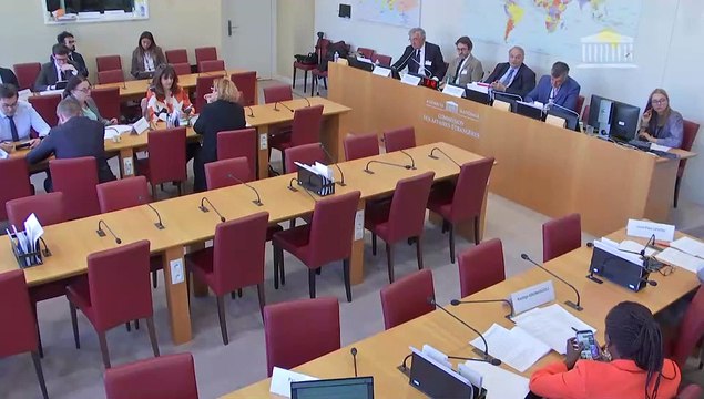 Commission des affaires étrangères : M. Dominique Antoine, conseiller maître à la Cour des comptes, et M. Matthieu Boussichas, (FERDI) ; M. Jérôme Bonnafont, représentant permanent de la France auprès des Nations Unies - Mercredi 17 mai 2023