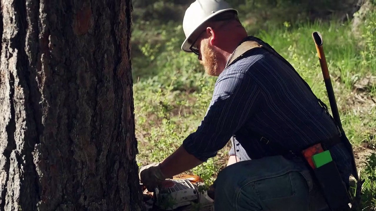 Spaltung im US-Bundesstaat Oregon - gibt es bald 'Greater Idaho'?
