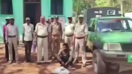 बड़वारा: सांभर के मांस के साथ रंगे हाथ पकड़ा युवक, पुलिस ने की कार्रवाई