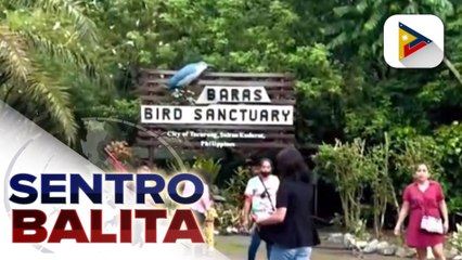 Pagdiriwang ng ika-pitong Bird Festival ng Tacurong, naging makulay