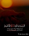 Surah Al-Zumar Ayat 53-54 -- Most Emotional & Soft Quran Recitation --Peaceful Voice --Quran Status