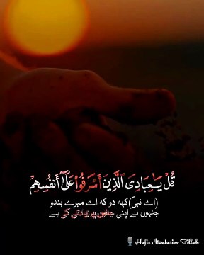 Surah Al-Zumar Ayat 53-54 Most Emotional & Soft Quran Recitation Peaceful Voice Quran Status