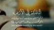 Surah At-Tubah Ayat - 38-39 -- Peaceful Voice -- WhatsApp Status -- Tilawat e Quran -- Quran Shorts