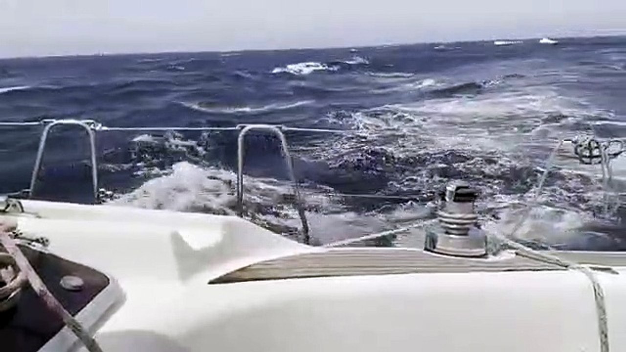 Ataque de orcas