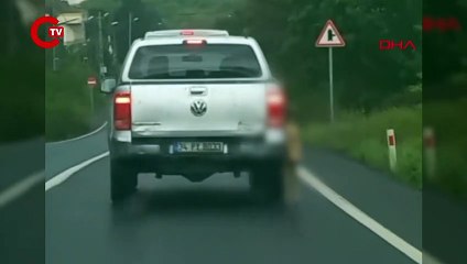 Sarıyer'de vahşet... Ölü köpeği araca bağladı!