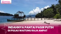 Indahnya Pantai Pasir Putih di Pulau Waitunu Raja Ampat
