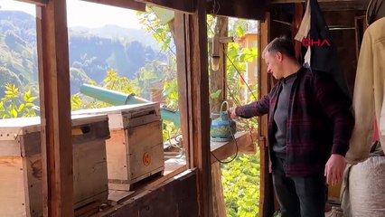 Rize'de ayılara 'havan'la önlem