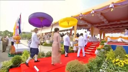 La ceremonia tailandesa del arroz con más de 700 años de antiguedad