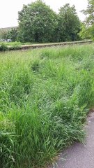 Ma question. Votre avis