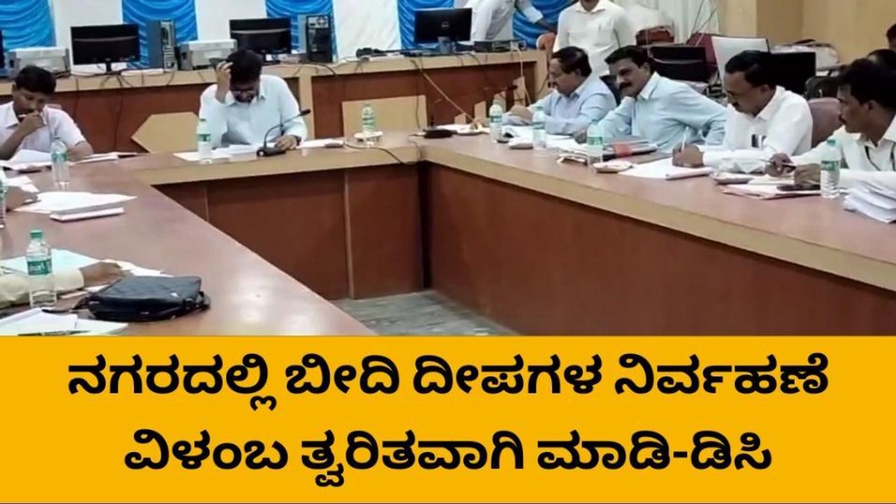 ರಾಯಚೂರು: ಬೀದಿ ದೀಪಗಳ ನಿರ್ವಹಣೆ ಬಗ್ಗೆ ಡಿಸಿ ಸೂಚಿಸಿದ್ದೇನು?