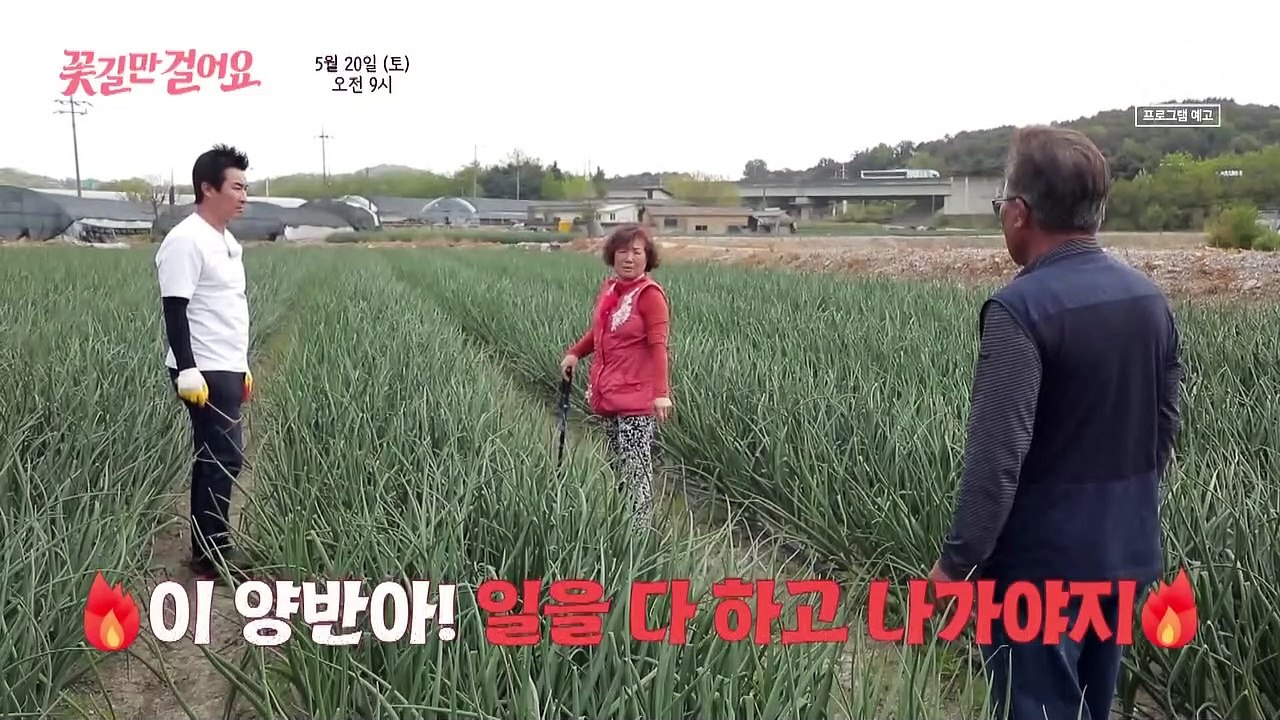 [예고] 딸기 부부의 행복을 위한 꽃길 프로젝트✿ 그녀는 웃음꽃을 피울 수 있을까?