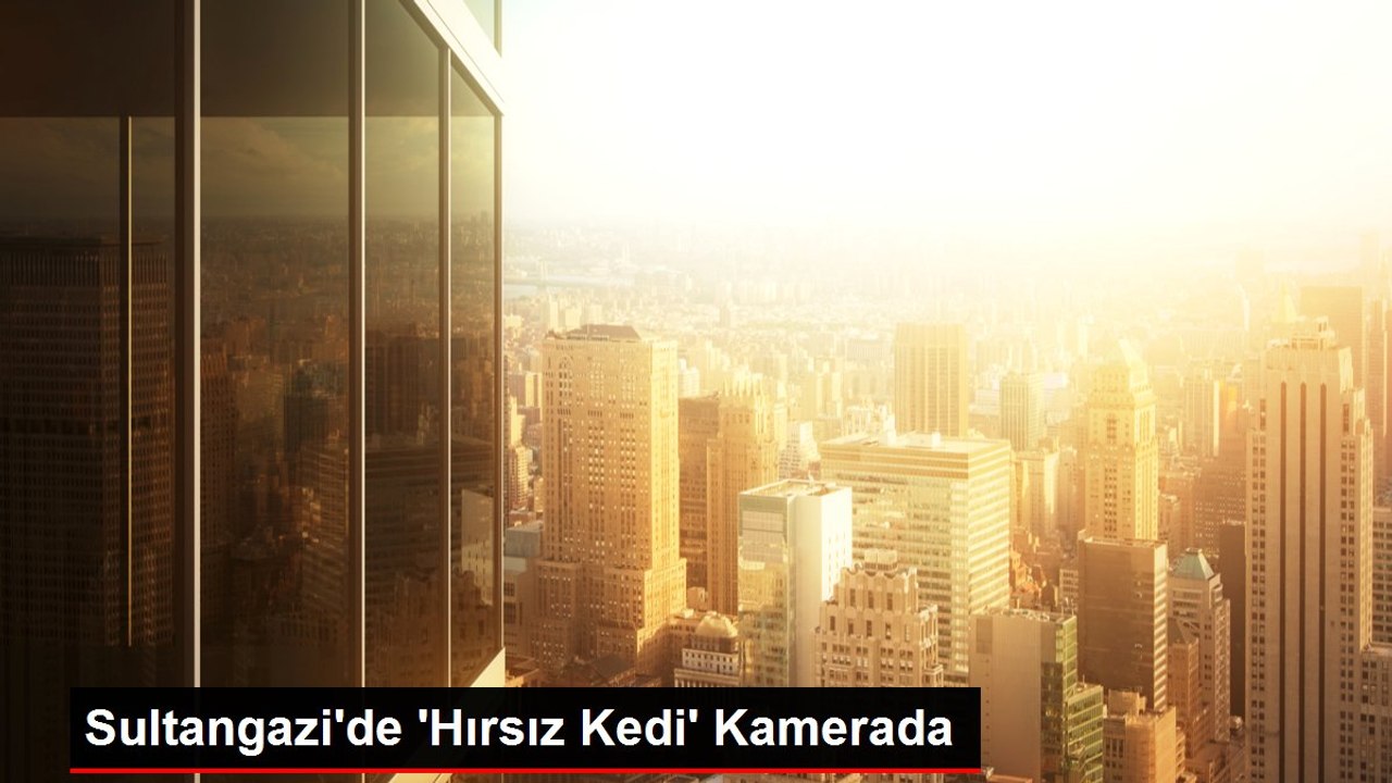 Sultangazi'de 'Hırsız Kedi' Kamerada