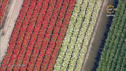 العالم كما نراه من فوق - بلجيكا