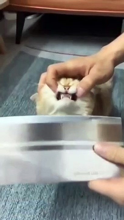 Baby funny child 