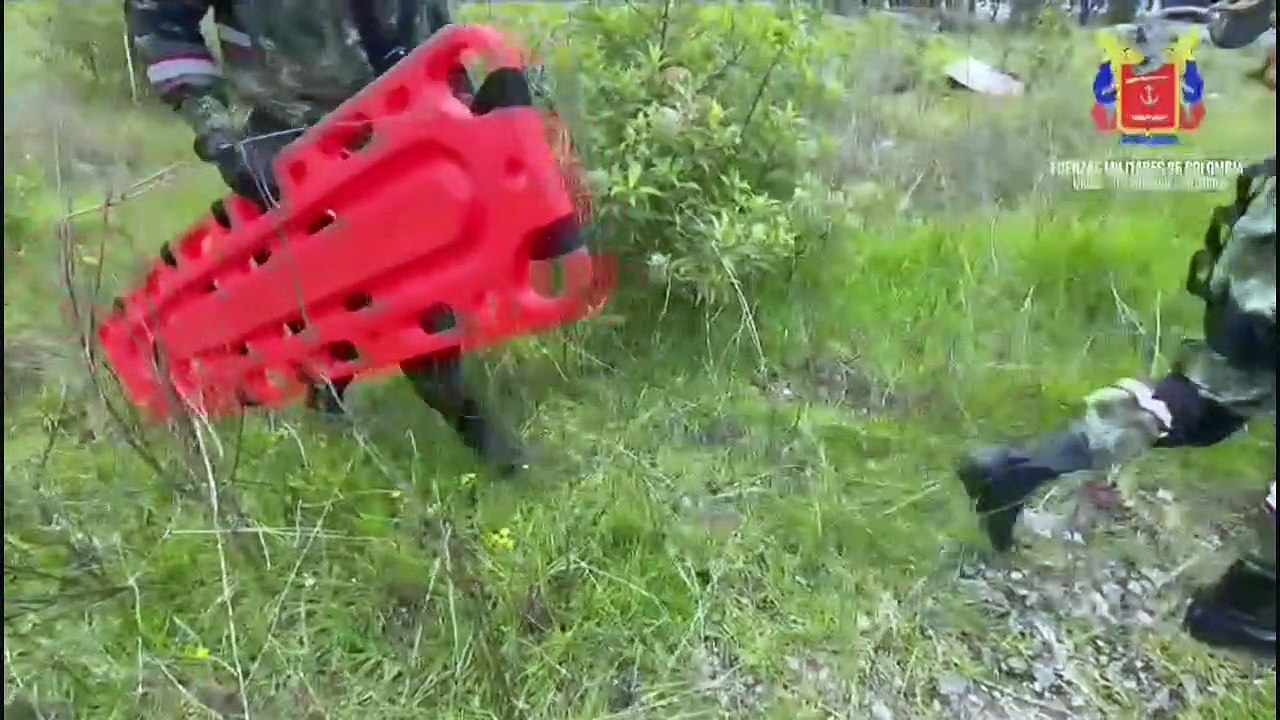 Vier Kinder überleben zwei Wochen allein im Dschungel Kolumbiens